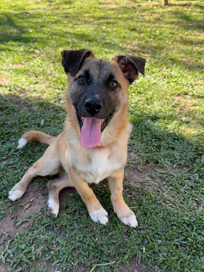 WhatsApp Image 2025-11-25 at 13.17.47 (1)