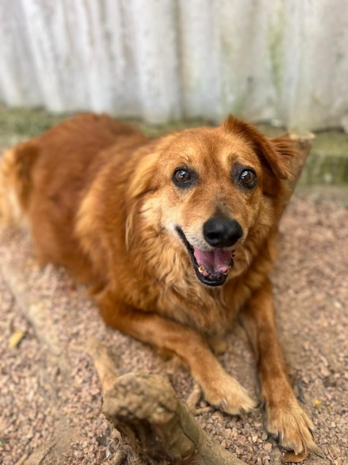 WhatsApp Image 2025-11-25 at 13.18.33