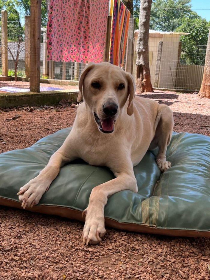 WhatsApp Image 2025-11-25 at 13.18.54