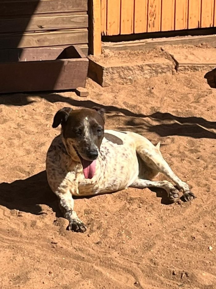 WhatsApp Image 2025-11-25 at 13.19.41