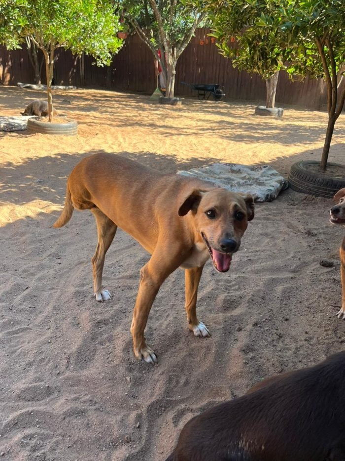 WhatsApp Image 2025-11-25 at 13.21.15