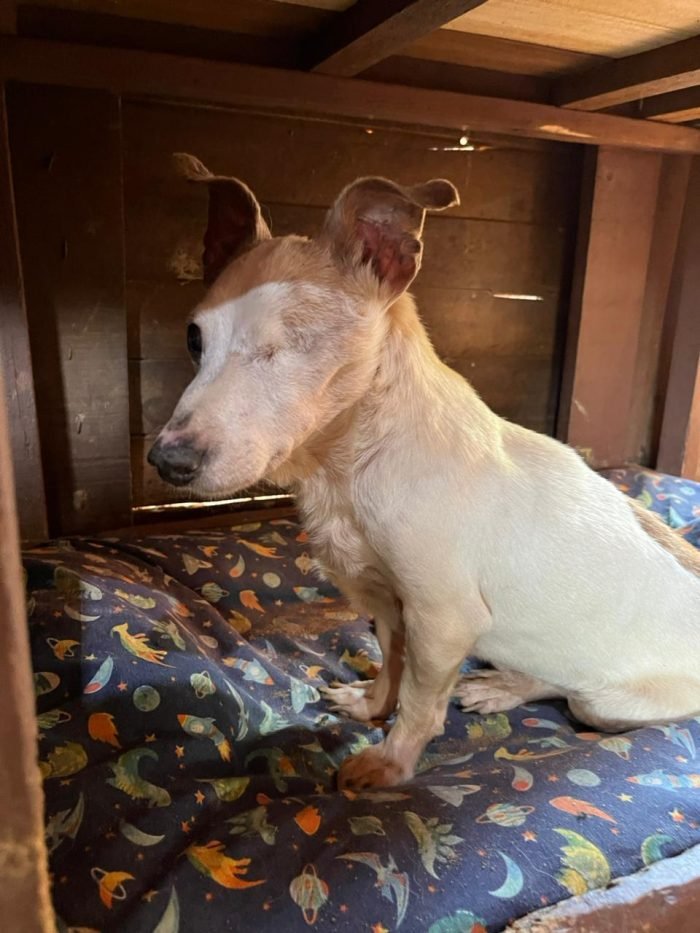 WhatsApp Image 2025-11-25 at 13.21.46