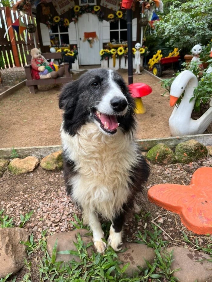 WhatsApp Image 2025-11-25 at 13.22.02