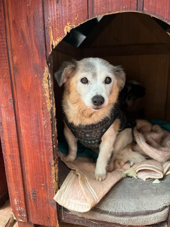 WhatsApp Image 2025-11-25 at 13.22.15